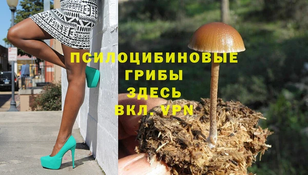 кокс Аркадак