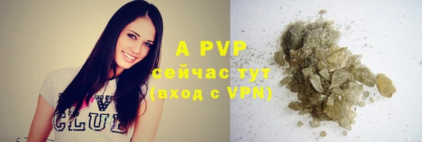 молекула духа Армянск