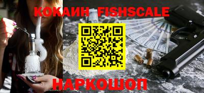 спиды Гай