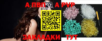 спиды Гай