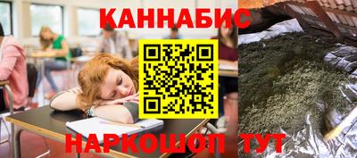 спиды Гай