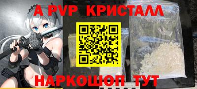 спиды Гай