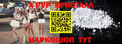 спиды Гай