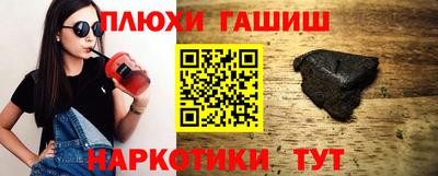 спиды Гай