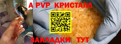 спиды Гай