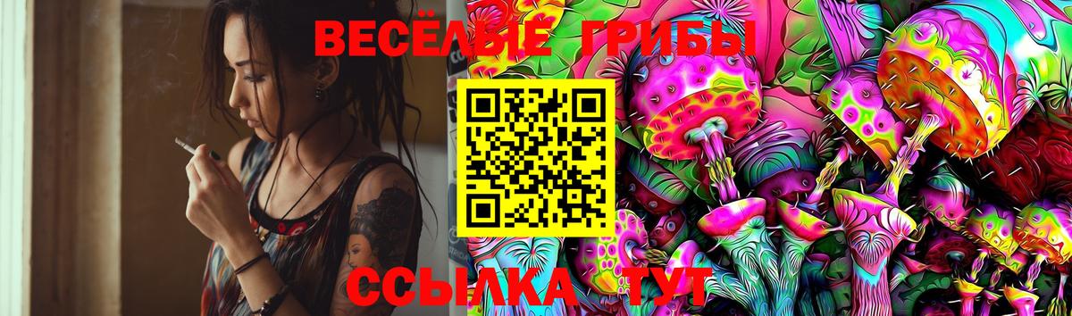 Псилоцибиновые грибы мицелий  Вход с VPN  Можга  Галлюциногенные грибы Magic Shrooms 
