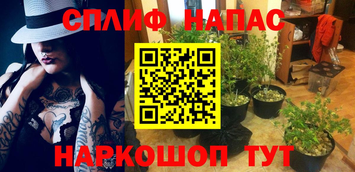 Канабис марихуана  Марихуана AK-47  МАРИХУАНА марихуана  Вход с VPN  Можга 